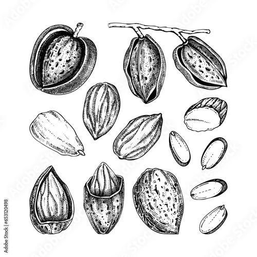 Almond nut sketches set. Hand drawn vector illustrations. Nutshells, nuts, almond slices, vegan, healthy food ingredients. Vintage design elements for packaging, label, logo