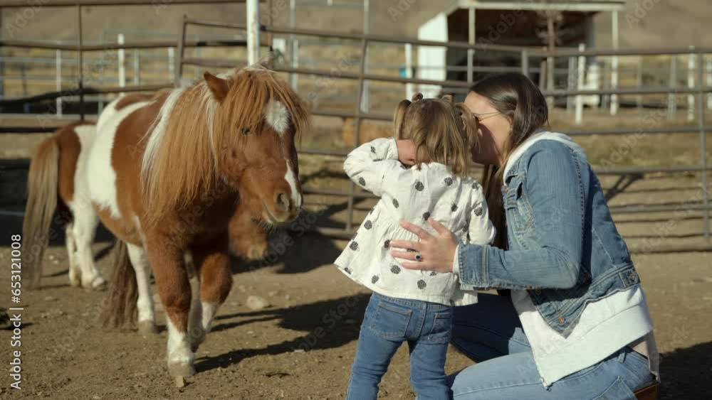 Girl and woman petting ponies at ranch Girl and woman petting ponies at ranch