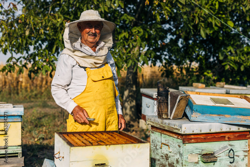 Happy old man enjoys beekeeping in nature.