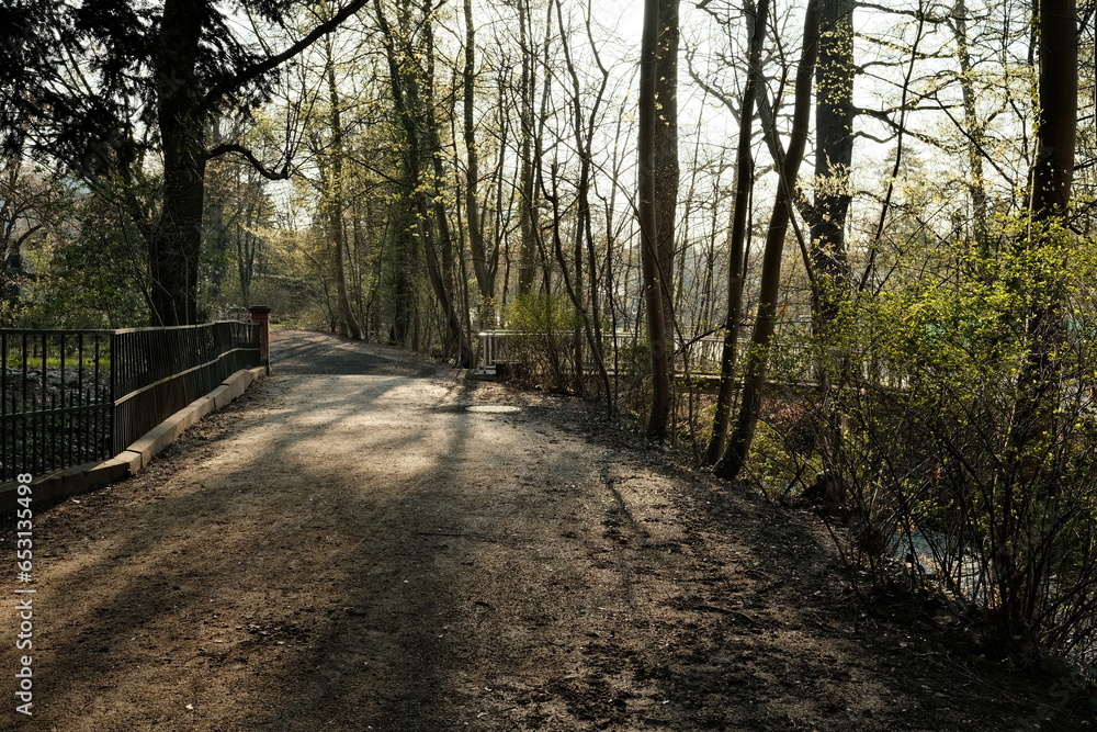 Fototapeta premium Parkweg