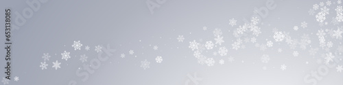 Gray Snowflake Vector Transparent Panoramic