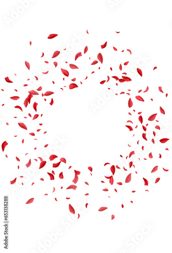 Pink Cherry Flying Vector White Background.