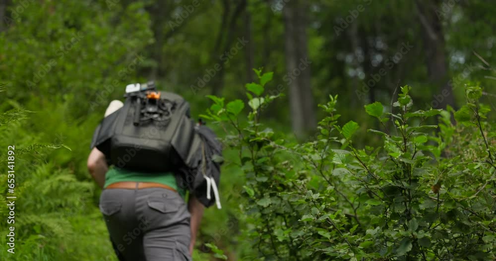 Male content creator hikes along climbing forest path, rear view Male content creator hikes along climbing forest path, rear view
