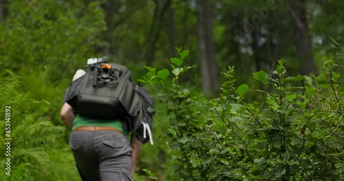 Wallpaper Mural Male content creator hikes along climbing forest path, rear view Torontodigital.ca