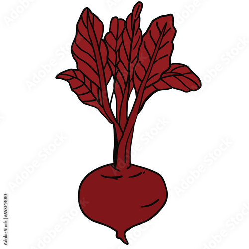 tree with roots