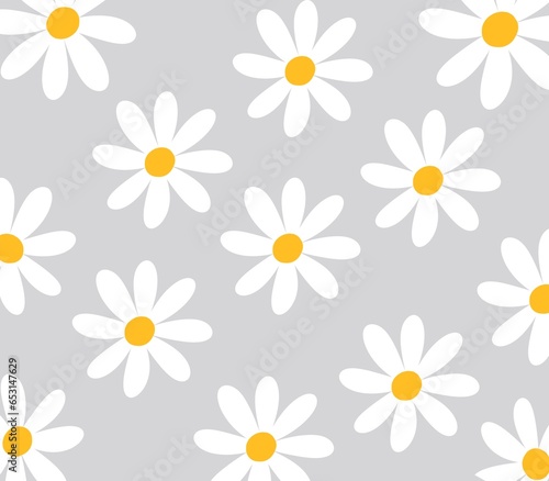 Seamless patterns with daisy flower
