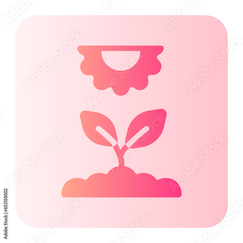 sprout gradient icon