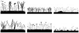 Grass with wild plants, black silhouette of meadow, set. Vector illustration.