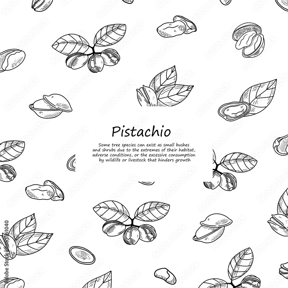Pistachio frame retro square menu poster. Vector illustration in hand drawing style. Healthy food ingredient template for vegetarian diet. Retro autumn decoration with leaves, nuts, branches banner