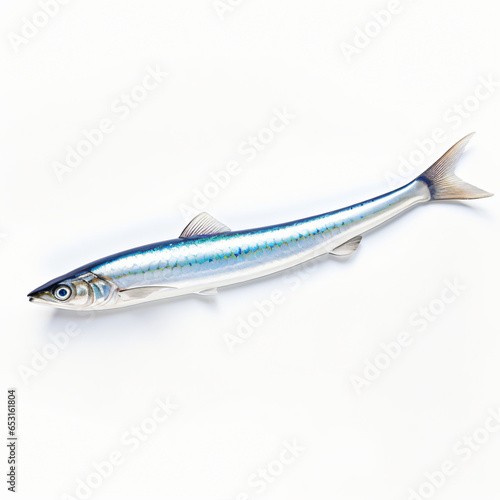 Needlefish isolated on white background