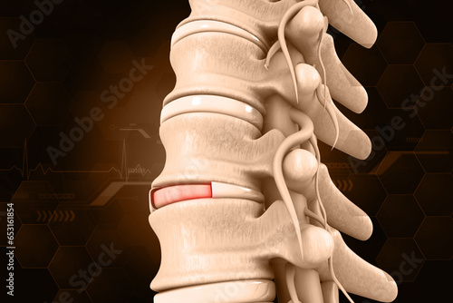 Human spine anatomy, vertebral column closeup. 3d medical illustration. photo