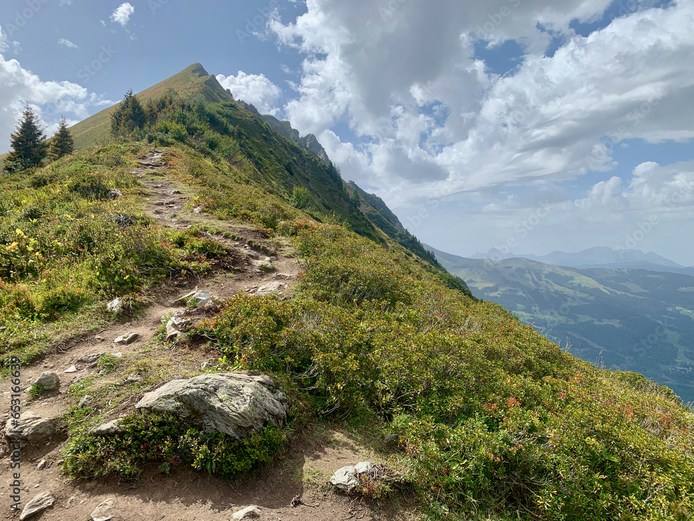 Sentier de grande randonnée dans les Alpes françaises sur le parcours ...