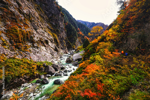 紅葉の北アルプスの黒部峡谷の下ノ廊下 photo