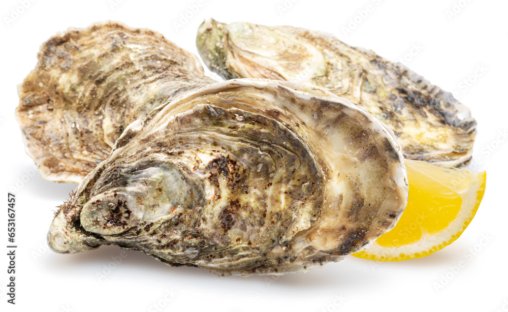 Closed raw oysters with lemon slice isolated on white background. Delicacy food.