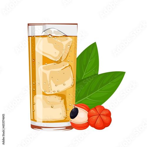 Vector illustration, glass of guarana soda, with guarana berries, and green leaves, isolated on white background.