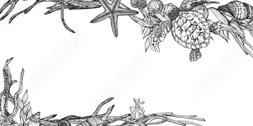 Marine composition frame banner sea turtle among algae, snags, shells, starfish driftwood. Black and white hand-drawn graphics translated into vector illustration