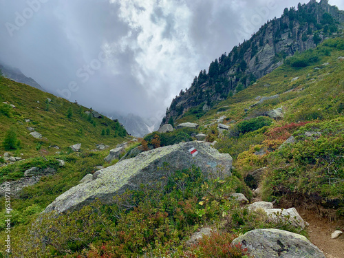 Chemin de randonnée qui mène à la fenêtre d'Arpette dans les Alpes suisses, variante du TMB