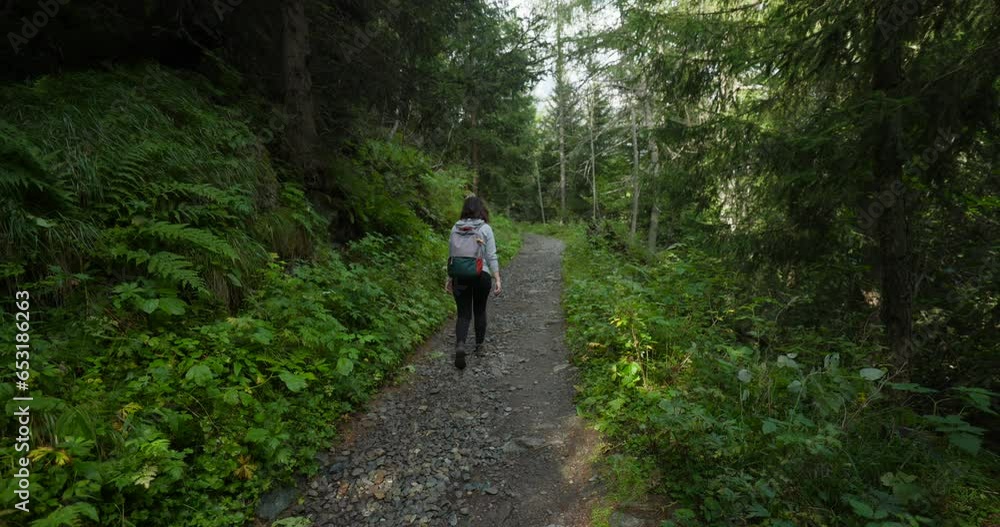 Tilt-Up Tracking: Female Hiker on Forestry Path, Rear View Tilt-Up Tracking: Female Hiker on Forestry Path, Rear View
