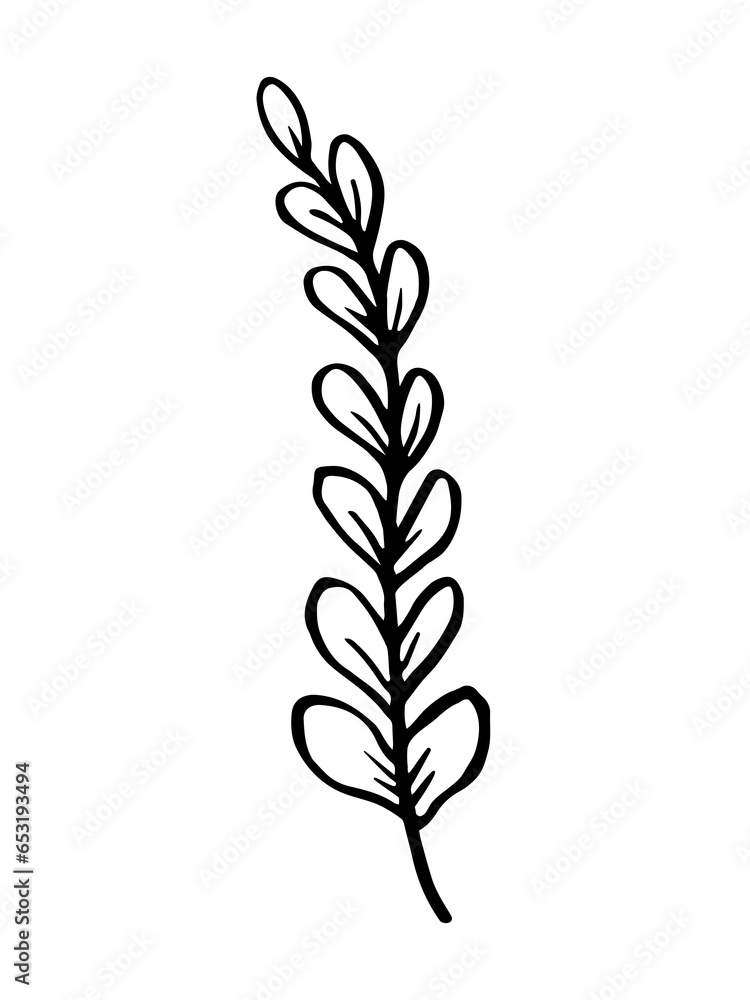Leaf, herbs grass hand drawn doodle sketch. Vector illustration single of cartoon botanical plant. Isolated on white background. Leaf, herbs grass hand drawn doodle sketch. Vector illustration single of cartoon botanical plant. Isolated on white background.