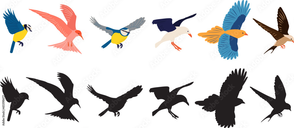flying birds of different breeds set, on a white background, vector - obrazy, fototapety, plakaty 