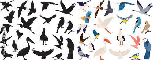birds of different breeds set, on a white background, vector