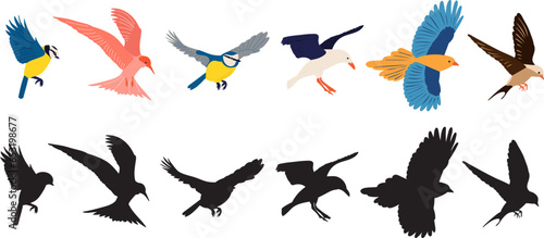 flying birds of different breeds set  on a white background  vector