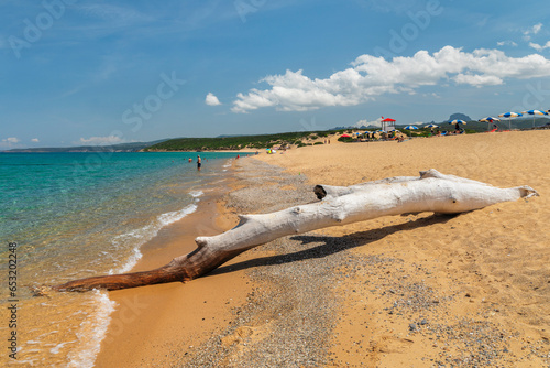 Driftwood, Scivu beach, Arbus, Sud Sardegna district, Sardinia, Italy, Mediterranean