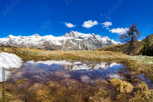 Snowcapped mountains reflected in a pristine lake in springtime, Fedoz valley, Bregaglia, Engadine, Canton of Graubunden, Switzerland