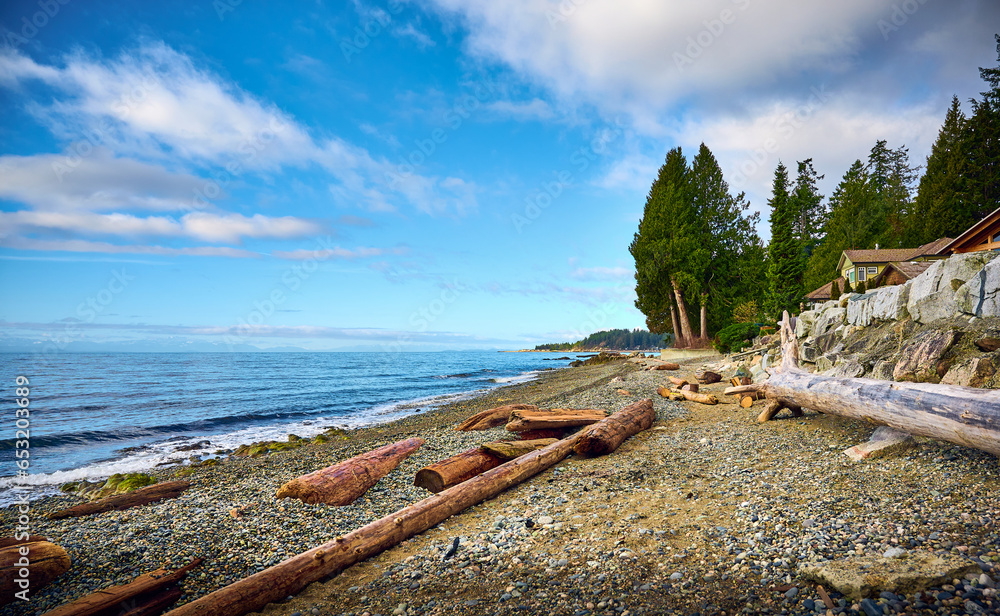 Driftwood at Henderson Beach. Roberts Creek, Sunshine Coast, British Columbia, Canada. Beautiful Pacific Coast of Canada