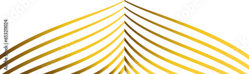 abstract golden line ornament