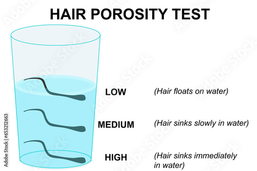 Natural hair porosity float test infographics