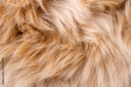 Beige fur texture top view. Brown or beige sheepskin background. Fur pattern. Texture of brown shaggy fur. Wool texture. Sheep fur close up