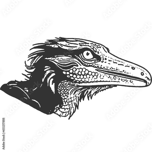 Gloomfeather Vintage Illustration Vector