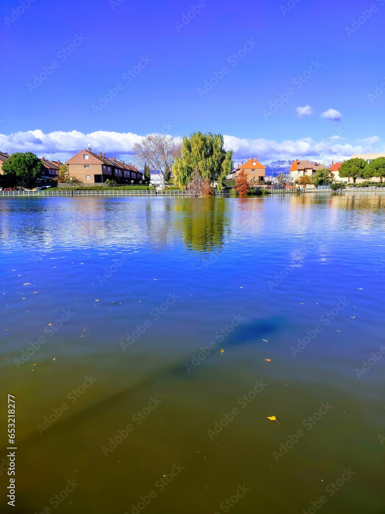 Obraz premium beautiful park with a large lake
