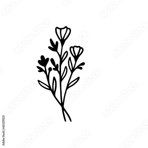 leaves leaf flower doodle decorative branch element 