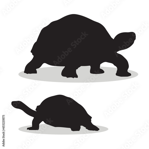 Aldabra Giant Tortoise silhouettes and icons. black flat color simple elegant Aldabra Giant Tortoise animal vector and illustration.