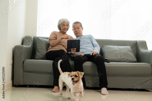 Happy Asian senior couple sitting on sofa in living room, concept of aging society.