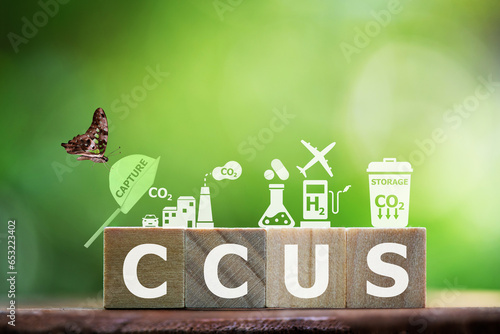Canvas Print CCUS text on woods and icons
