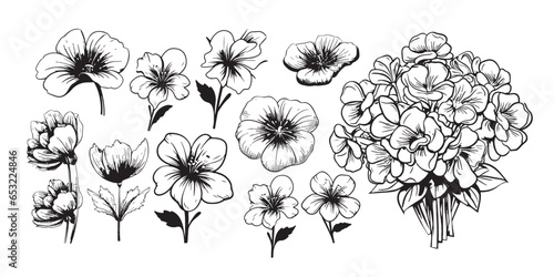 Violet flower set sketch hand drawn Vector Garden flowers