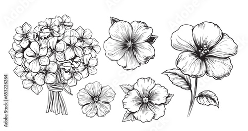 Violet flowers set sketch hand drawn Vector Garden flowers