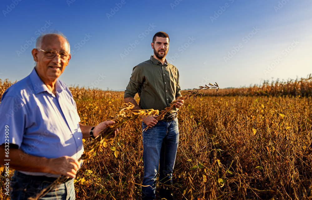 Fototapeta premium Portrait of two farmers standing in soy field looking at camera.