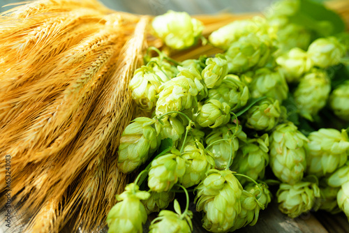 Fresh cones of hops on one half and ears of grain on other one, lay on wood background. Raw material for brewing production. Green fresh ripe hop cones and golden spica ears for making beer and bread.