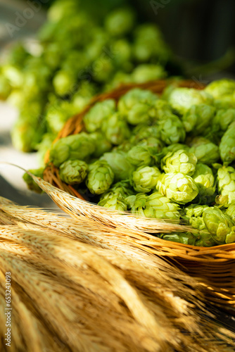 Fresh cones of hops in the basket and ears of grain near on wood background. Raw material for brewing production. Green fresh ripe hop cones and golden spica ears for making beer and bread.