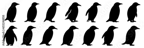 Penguin antarctica and arctic silhouettes set, large pack of vector silhouette design, isolated white background