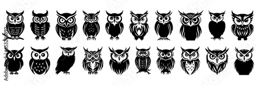 Owl bird silhouettes set, large pack of vector silhouette design, isolated white background