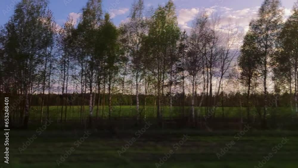 Side window view, birches trees on background at sunset. Roadway out of town. Passenger seat of car van wagon in motion. Spring road in april, evening. Travel journey or trip concept Side window view, birches trees on background at sunset. Roadway out of town. Passenger seat of car van wagon in motion. Spring road in april, evening. Travel journey or trip concept