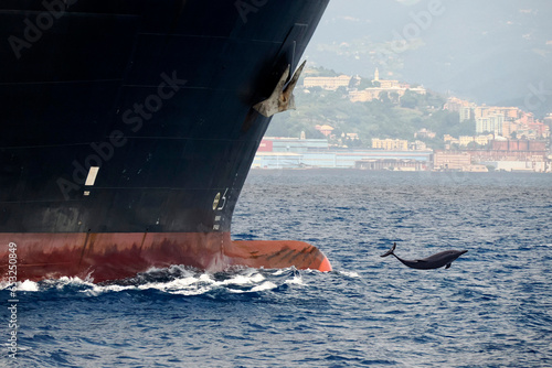 Fotografía dolphin jumping in front of prow of a cargo ship detail close up