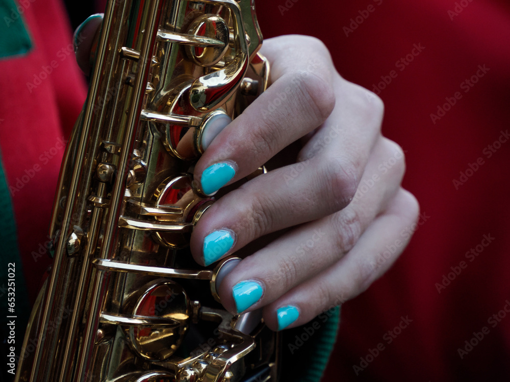 Fototapeta premium hand detail playing traditional band instrument