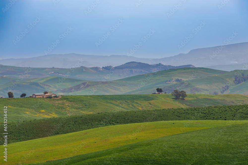 Spring landscape in the Bivio Guglia area on the island of Sicily