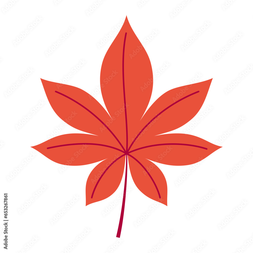 flat colorful autumn leaf isolated on white flat colorful autumn leaf isolated on white